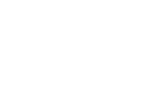 Magnetic Moments Logo